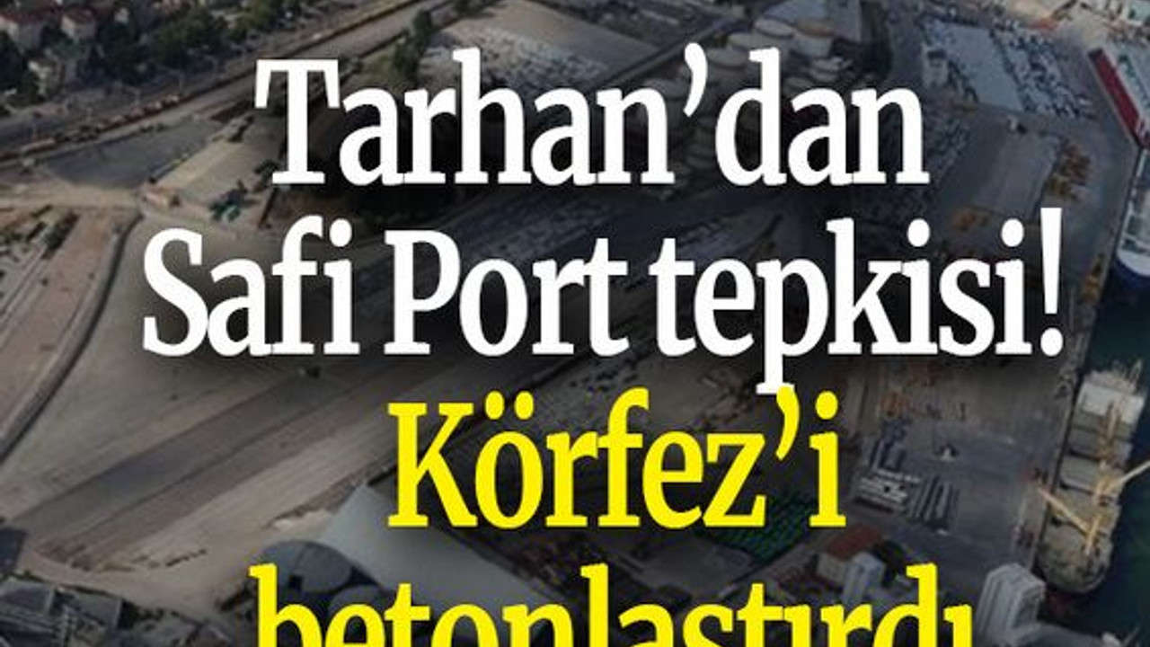 Tarhan’dan Safi Port tepkisi! Körfez’i betonlaştırdı